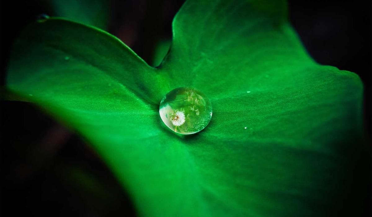 Marketplace Dashboard